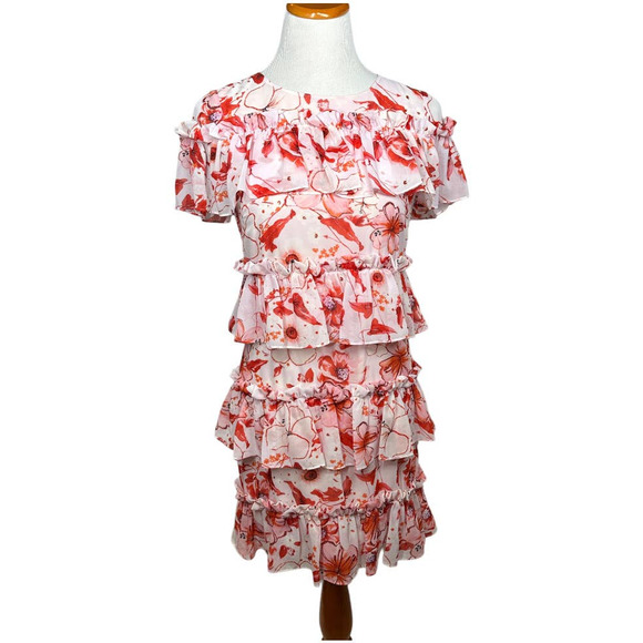 BADGLEY MISCHKA Floral Print Runway Dress SZ 2 Pink Ruffle Tiered Shift Dress - Picture 1 of 11